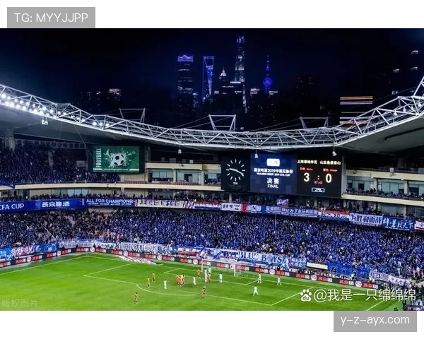 上海申花阵容结构稳定，但是否缺乏变化？