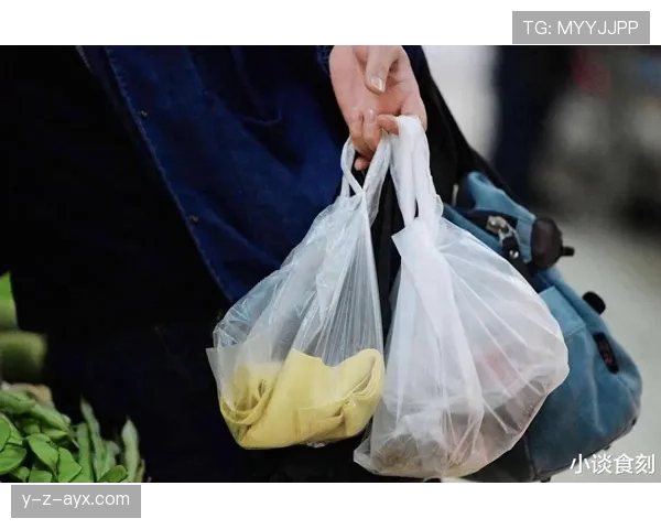 卡瓦尼提着超市塑料袋走进五星酒店，我笑出声了